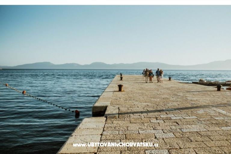 Apartments Martinović – photo 12