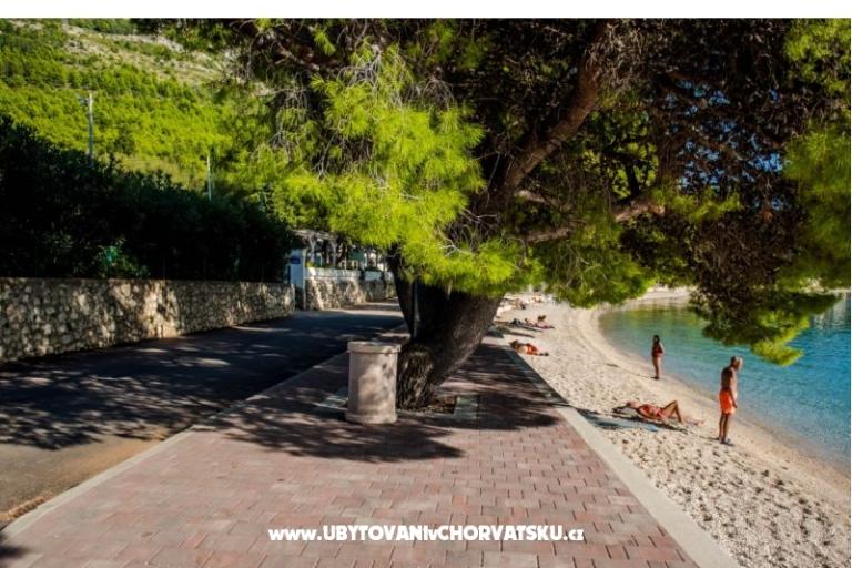 Apartments Martinović – photo 13