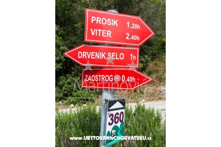 Apartments Martinović – photo 17