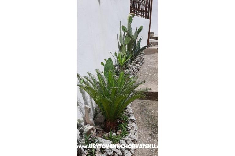 Apartments Ružica  – photo 12