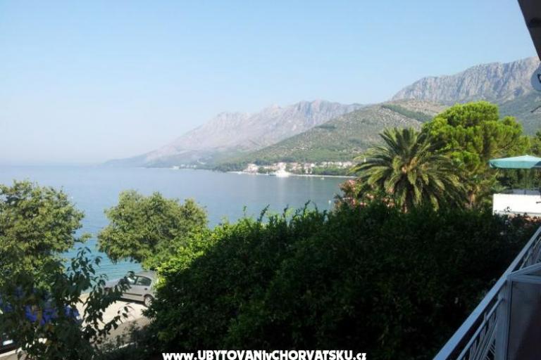 Apartments Kapec  – photo 6