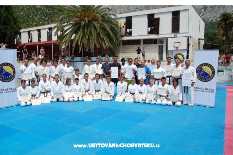 Bossina Zaostrog – photo 13