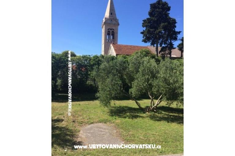 Bossina Zaostrog – photo 14