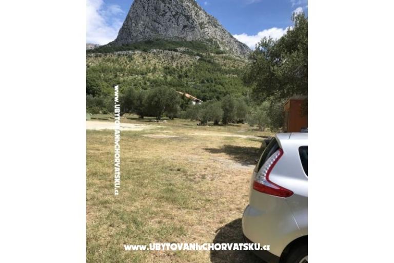 Bossina Zaostrog – photo 16