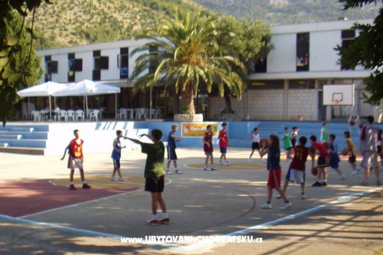 Bossina Zaostrog – photo 17