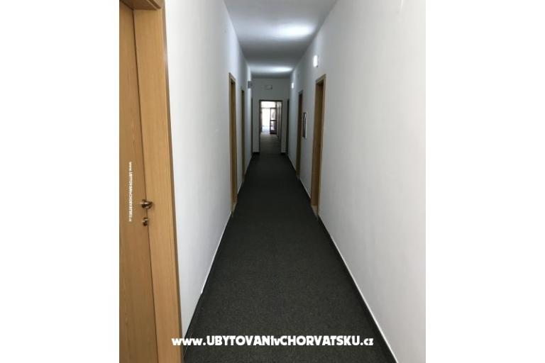 Bossina Zaostrog – photo 2