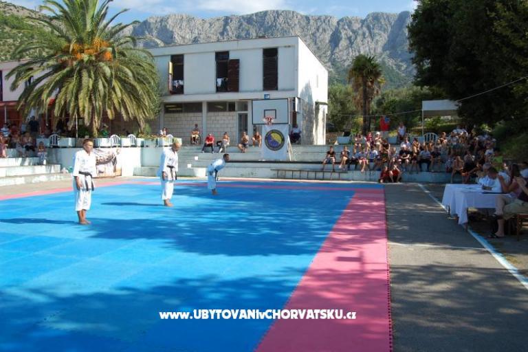 Bossina Zaostrog – photo 7