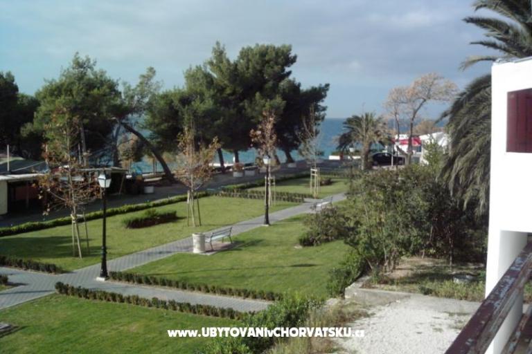 Casa Flowers – photo 11