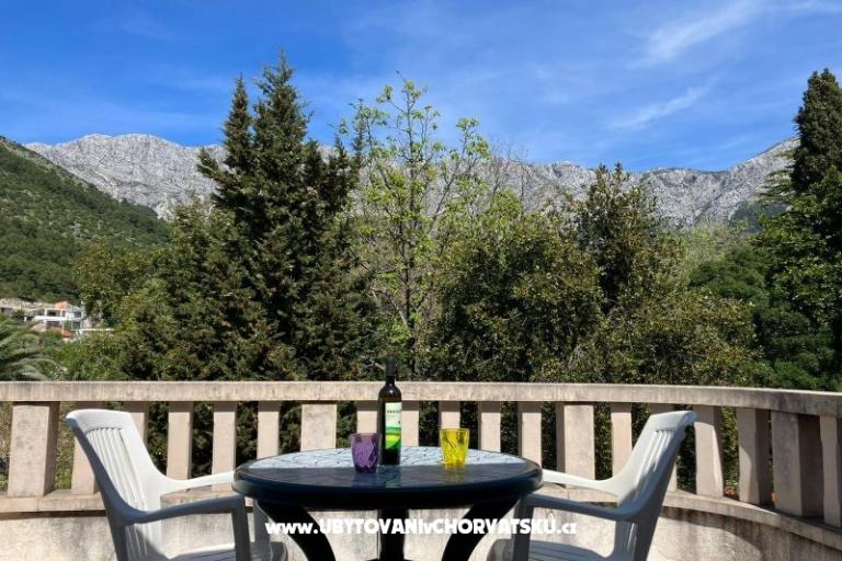 Vila Danica – photo 8