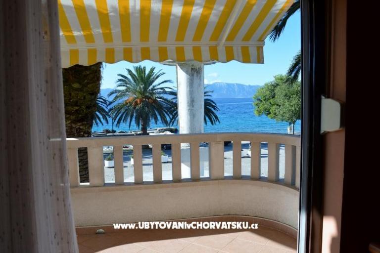 Vila Danica – photo 4