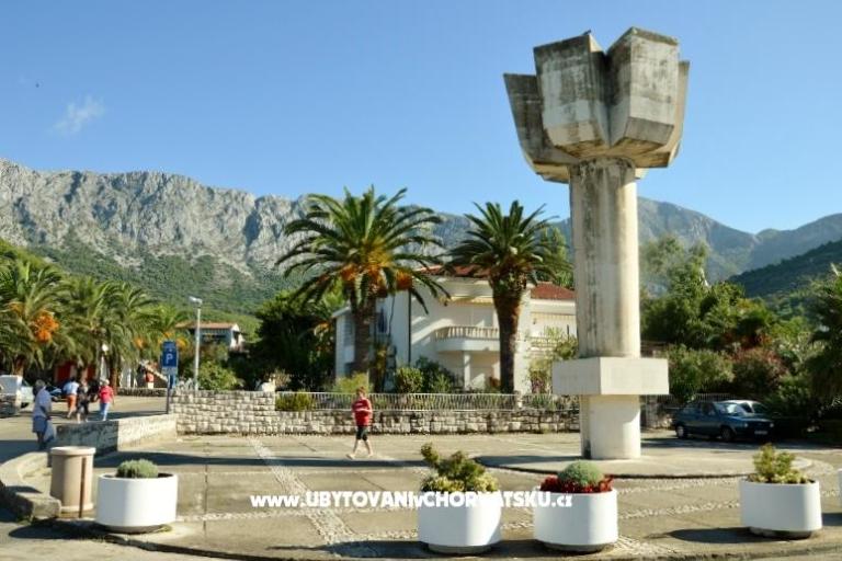 Vila Danica – photo 8