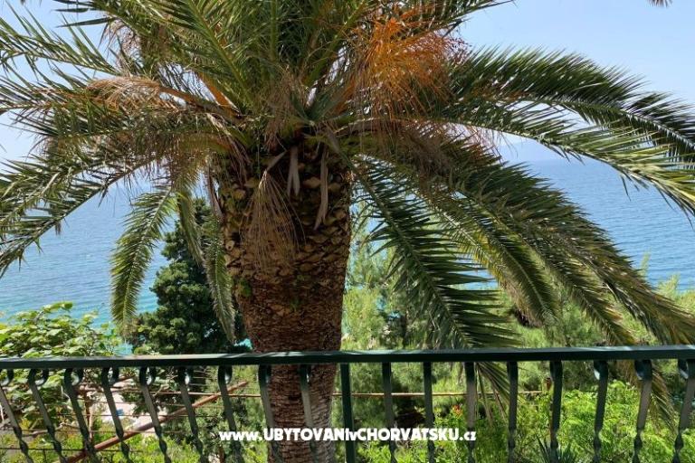 Apartments Palma – photo 7