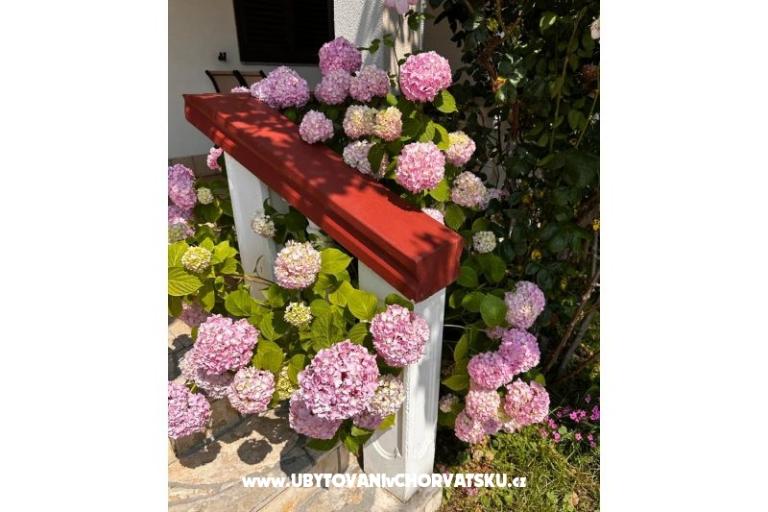 Apartments Ana Ercegović  – photo 10