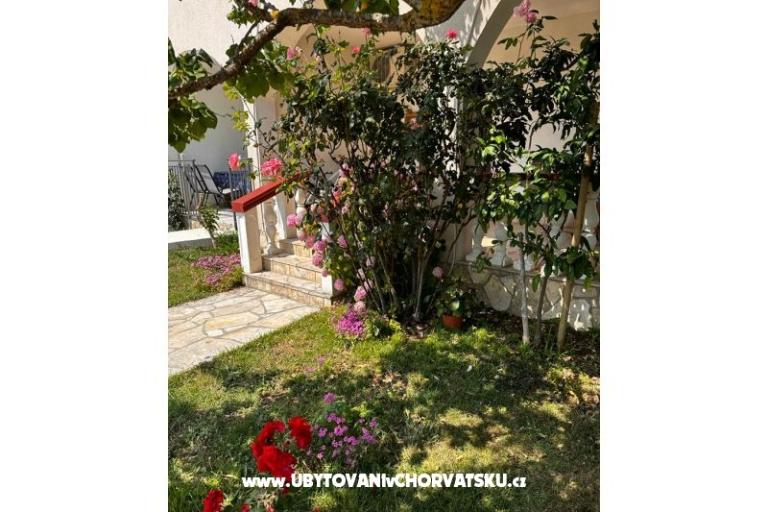 Apartments Ana Ercegović  – photo 11