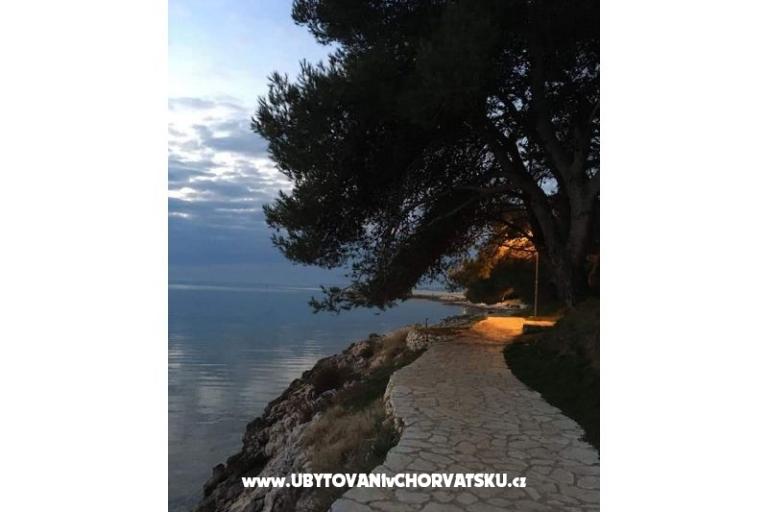 Apartments Ana Ercegović  – photo 13