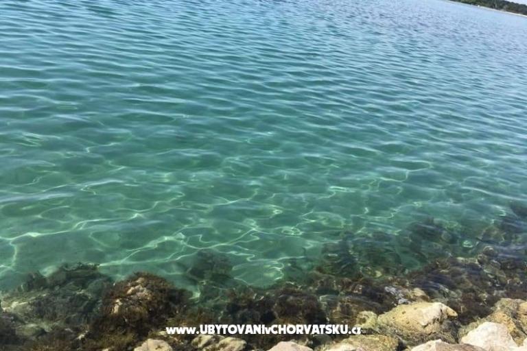 Apartments Ana Ercegović  – photo 15