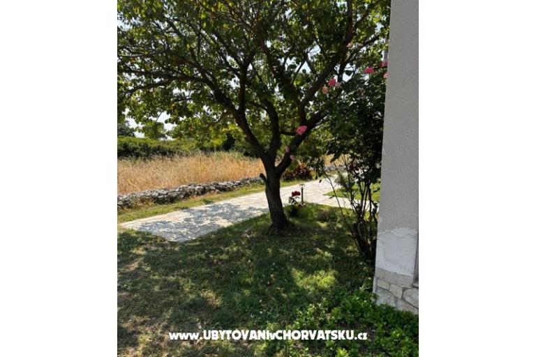 Apartments Ana Ercegović  – photo 8