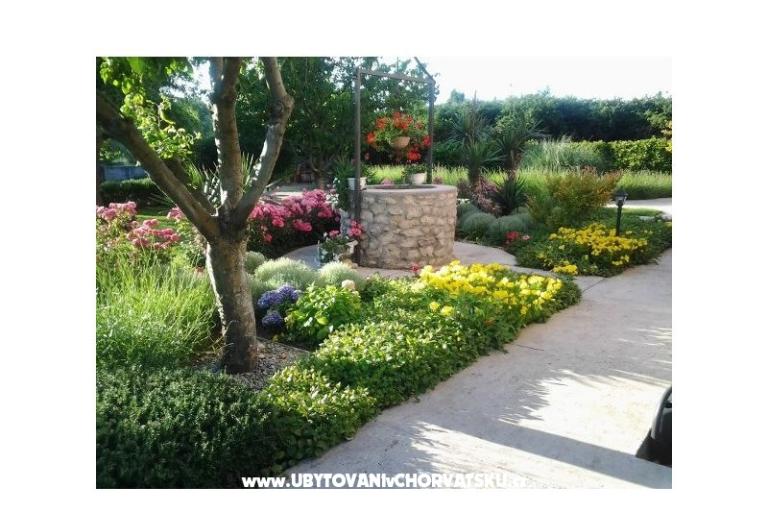 Apartments Martina – photo 15