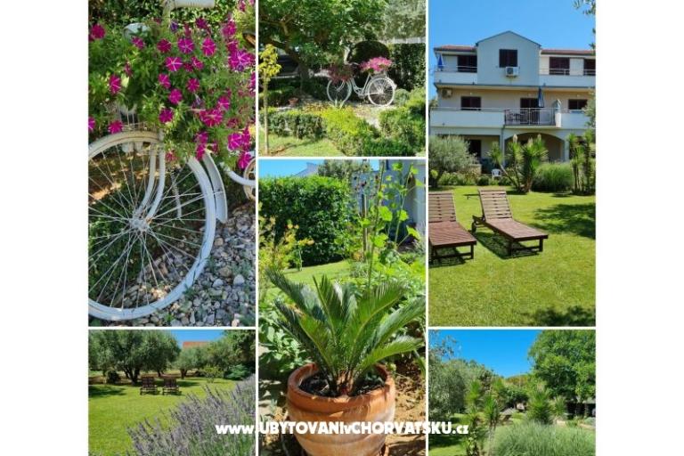 Apartments Peroš – photo 8