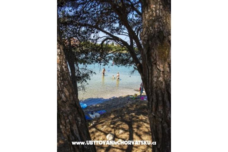 Apartments Zatonka – photo 13