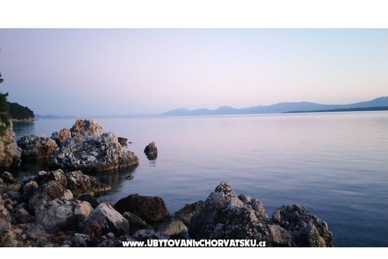 Apartments Andrija  – photo 8