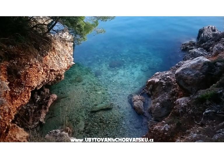 Apartments Andrija  – photo 9