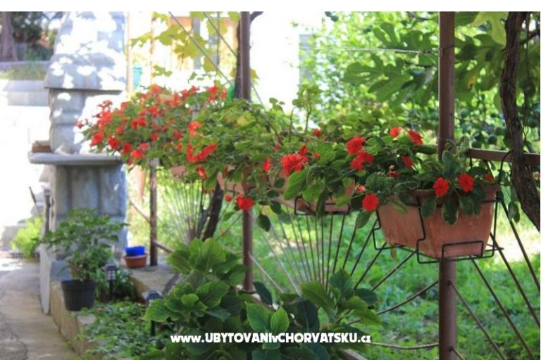 Apartments DEMS 1 – photo 18