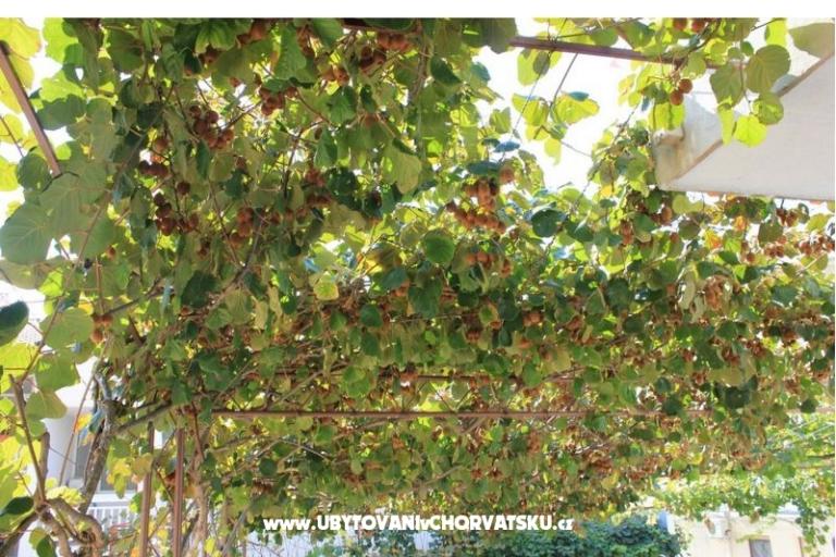 Apartments DEMS 1 – photo 5