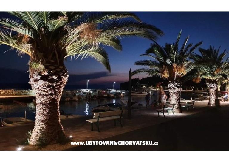 Apartments Eva &amp; Ante – photo 20