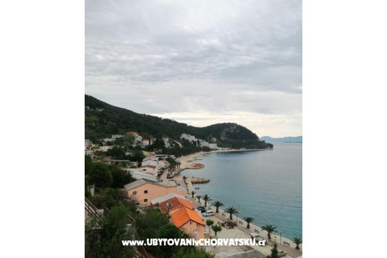 Apartments Grgo  – photo 2