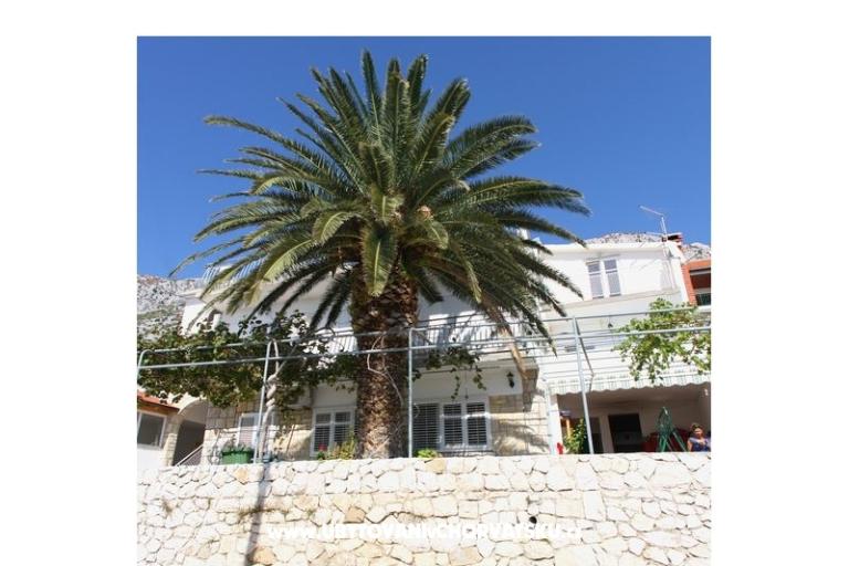 Apartments Ivop – photo 15