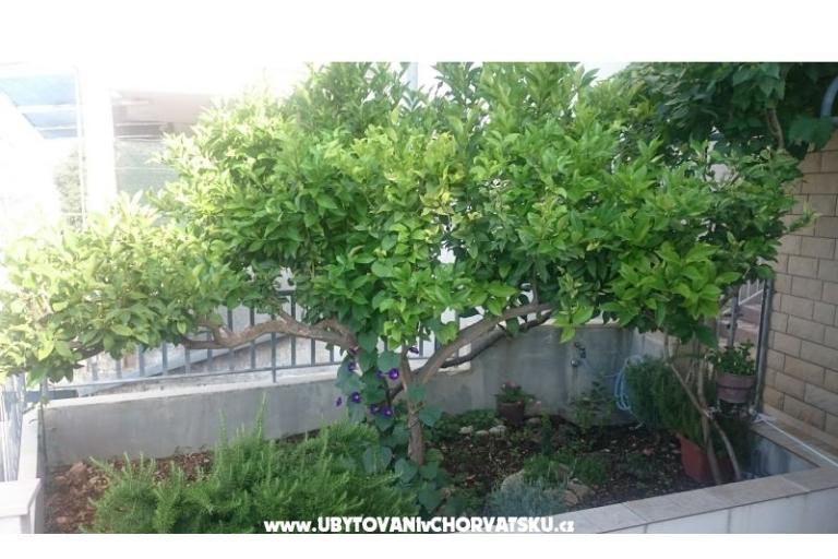 Apartments Jovanović – photo 12