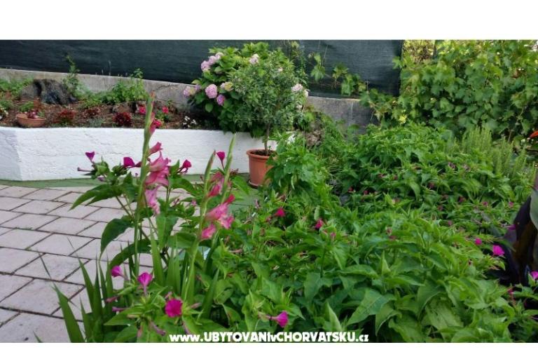 Apartments Lily – photo 8