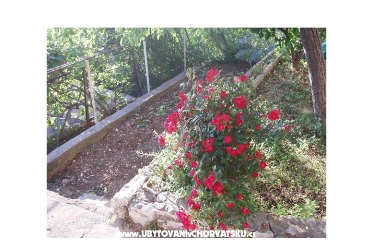 Apartments Tiho – photo 11