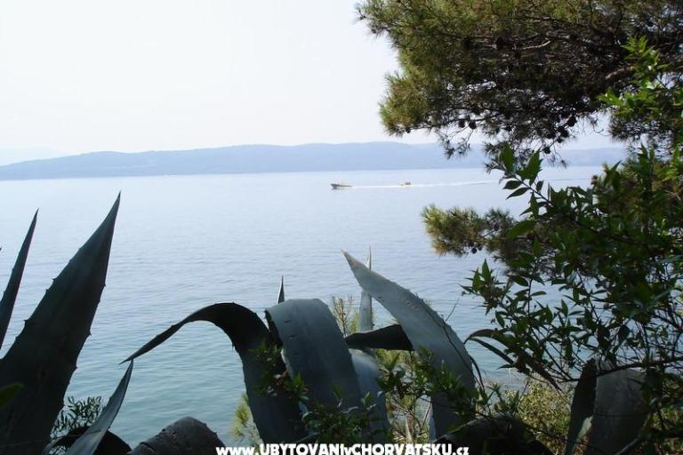 Apartments Anita – photo 15