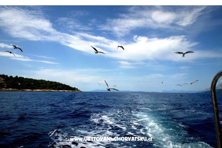 Apartments Anita – photo 16