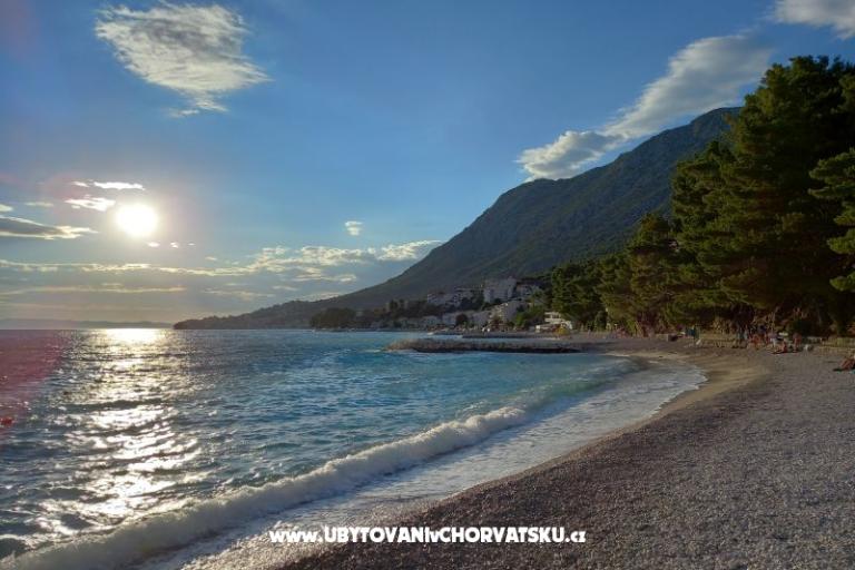 Apartments Živogošće – photo 12