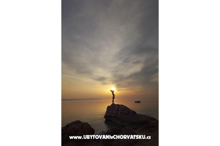 Apartments Živogošće – photo 13