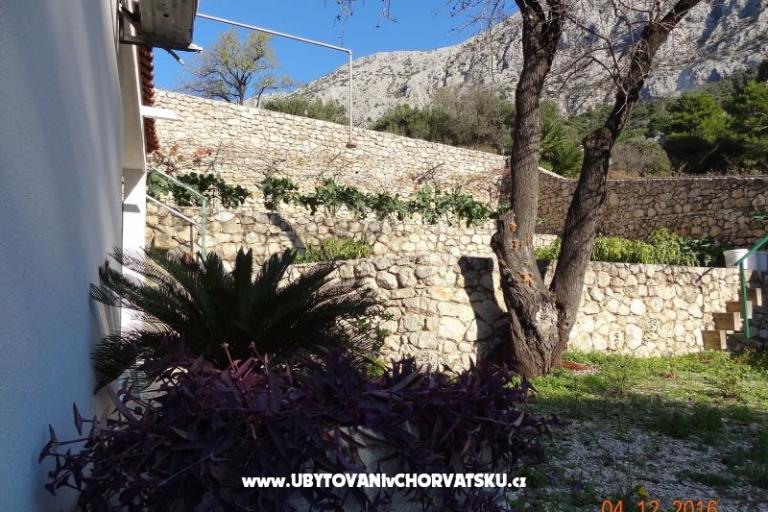 House Zorra Porat – photo 12