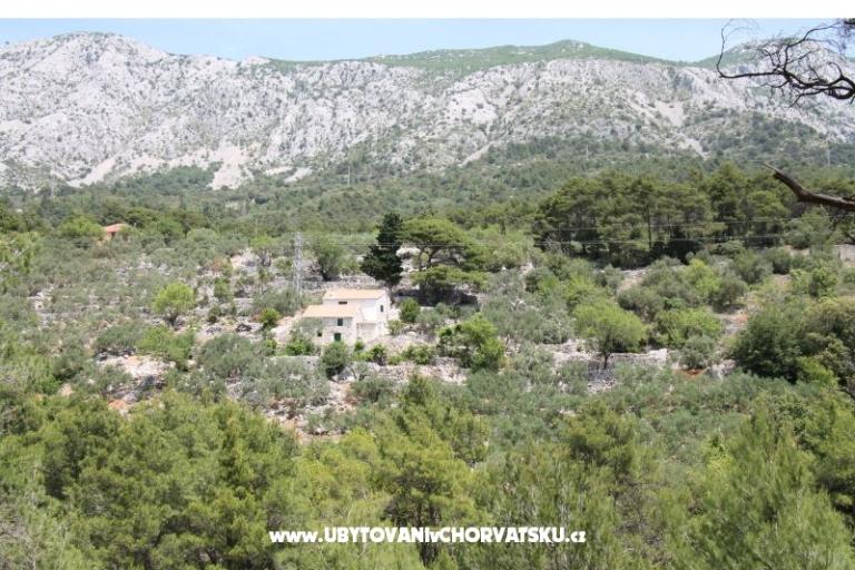 Holiday Home with sea view – photo 18