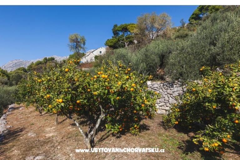 Holiday Home with sea view – photo 22