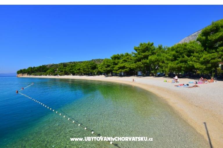 Villa Dalmatina – photo 14