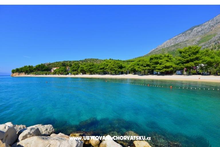 Villa Dalmatina – photo 15