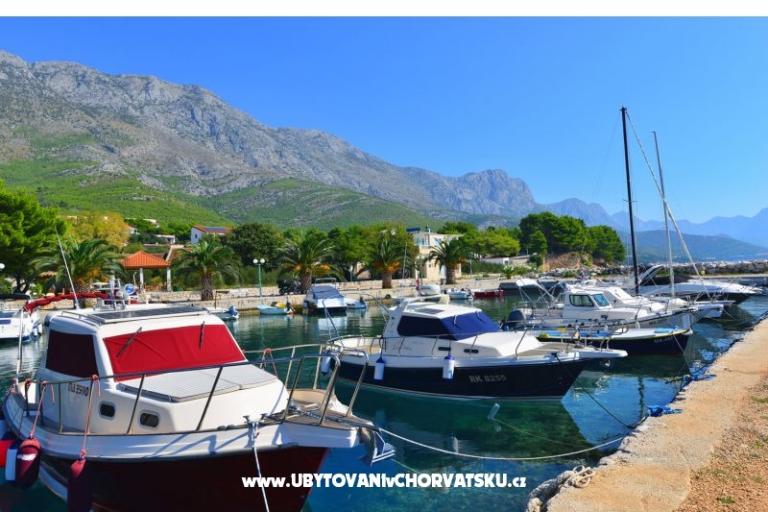 Villa Dalmatina – photo 17