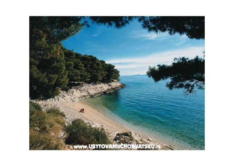 Villa Dalmatina – photo 18