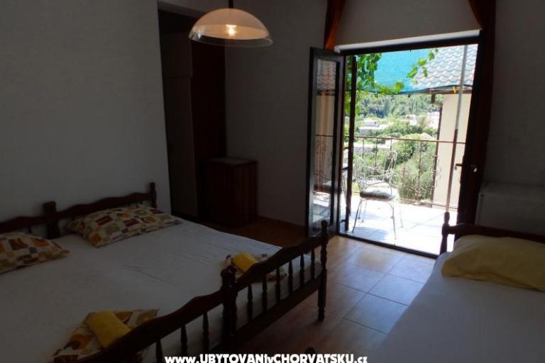 Apartments Dalmatin – photo 4