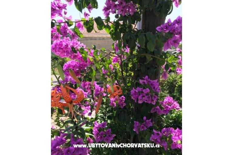 Apartments Kod Vlaha ,I&amp;T – photo 13