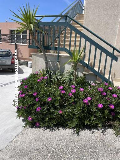 Apartments Leko – photo 22