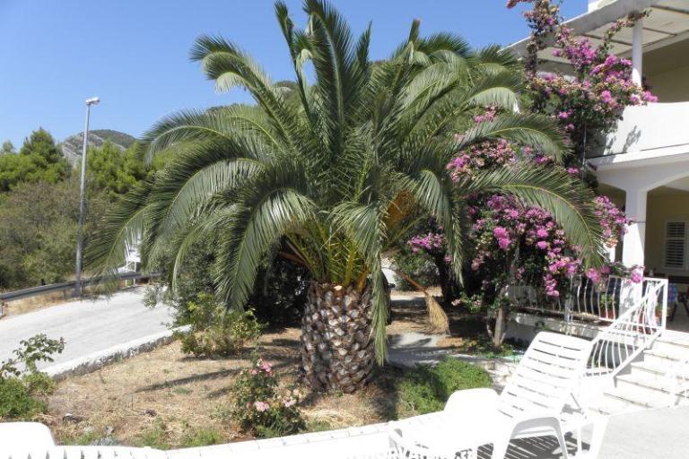 Apartments Cavelis – photo 10