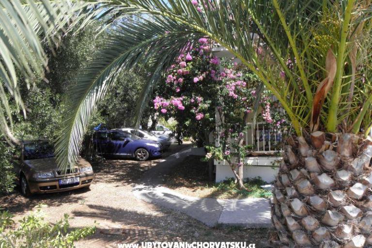 Apartments Cavelis – photo 14